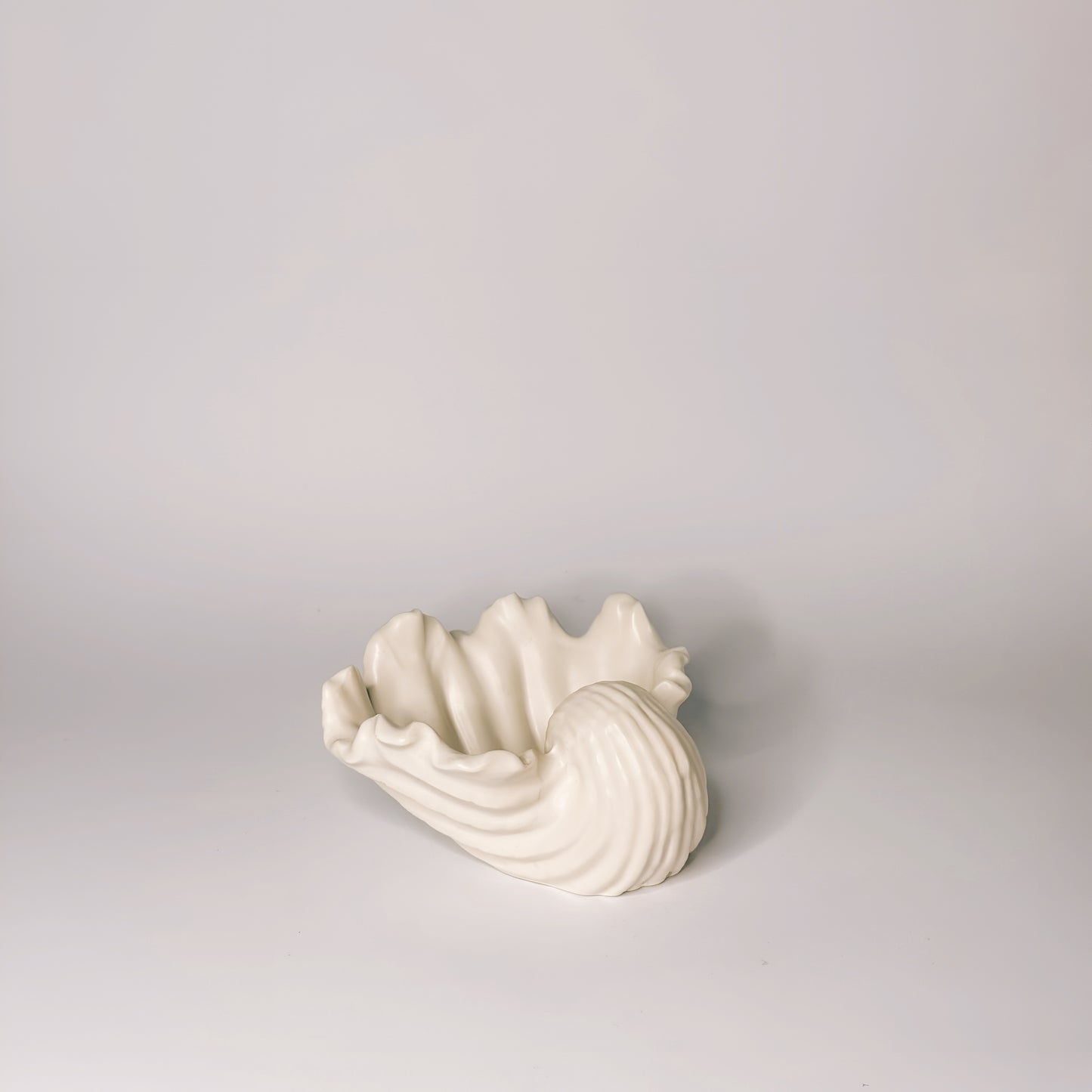 Coquillage