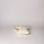 Coquillage Unialve