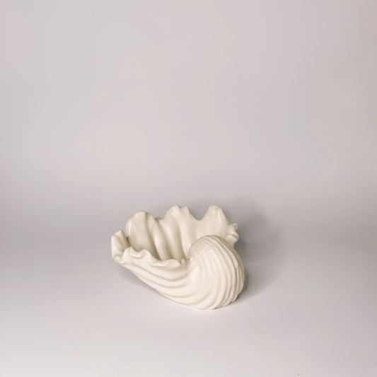 Coquillage